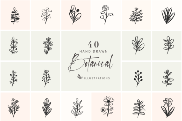 40 Hand Drawn Botanical Illustrations for Crafters