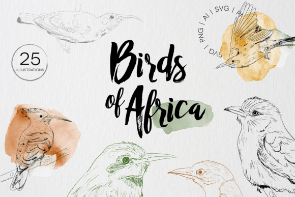 Birds of Africa Illustrations: Graphics for Crafters