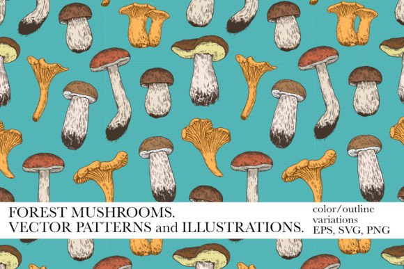 Forest Mushrooms Illustrations: A Versatile Graphics Set